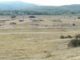 PRESSING – ODOBESTI ENDURO CROSS ATV septembrie 2019