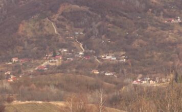 VRANCEA PITOREASCA – CHIOJDENI noiembrie 2021